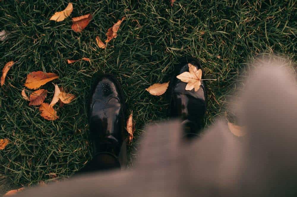 blog